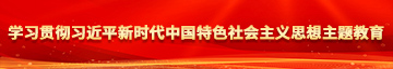 狂艹骚笔视频学习贯彻习近平新时代中国特色社会主义思想主题教育